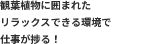 観葉植物に囲まれたリラックスできる環境で仕事が捗る